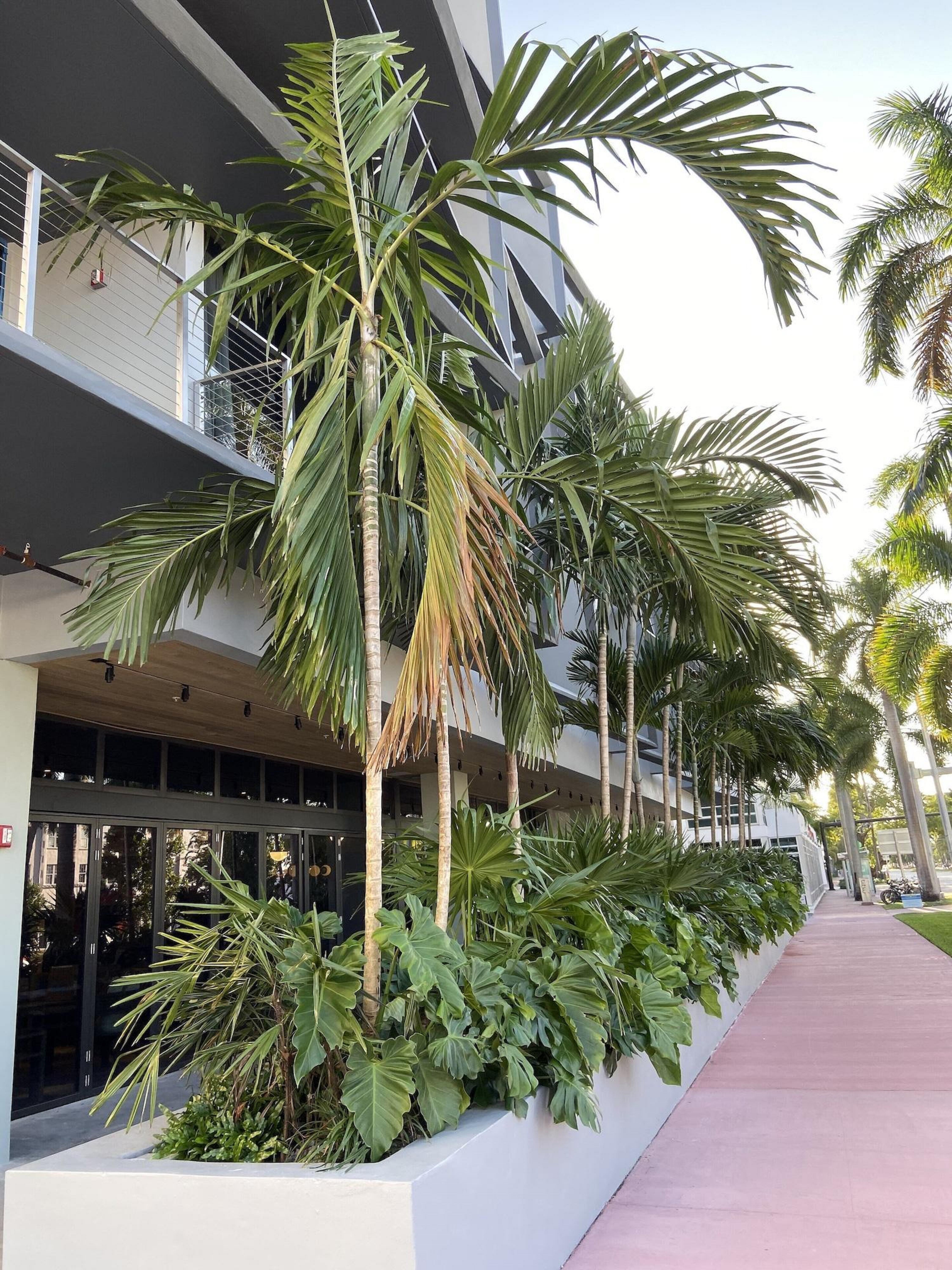 Urbanica Euclid Hotel Miami Beach Exterior foto